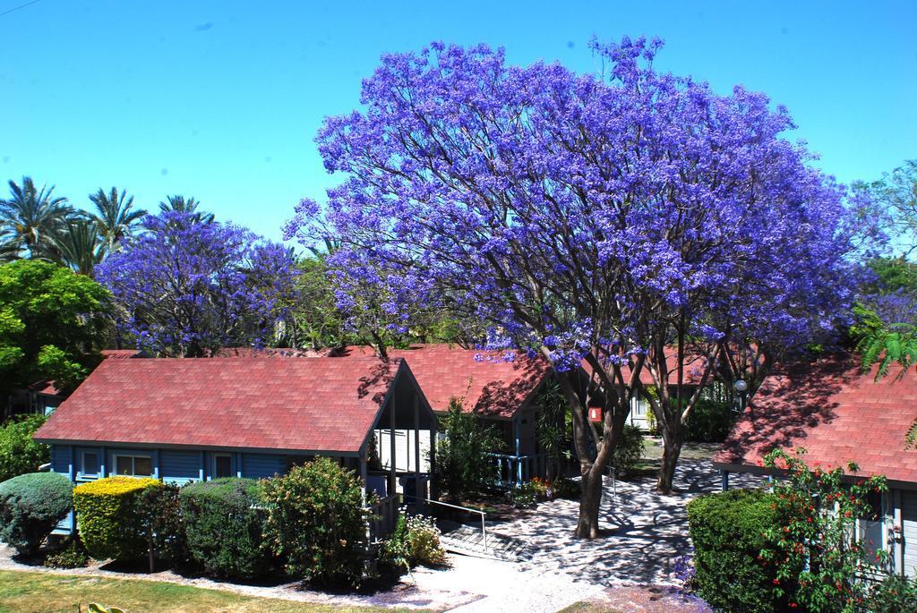 Nir David Country Lodge Exterior photo
